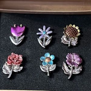🎀 Set of Six Flower Push Pins/Tacks from World Market in Original Packaging